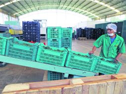 El Gobierno federal espera impulsar la creación de nuevas empresas así como consolidar las que llevan años operando. EL INFORMADOR /