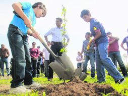 Familias asistieron a la reforestación de Colomos III, en donde se plantarán tres mil árboles en las 28 hectáreas de terreno. EL INFORMADOR /