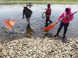 La Secretaría de Medio Ambiente exhorta a no tomar agua o consumir alimentos del lugar. ARCHIVO /
