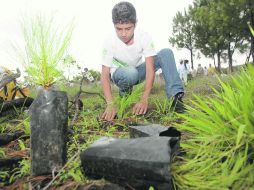 PREDIO HONDONADAS II. En 2012 la Fundación Extra organizó una jornada de reforestación en la zona, donde se plantaron tres mil pinos. EL INFORMADOR /