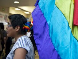 Establecen que las parejas gay tendrán los mismos derechos y obligaciones en las leyes reglamentarias. ARCHIVO /