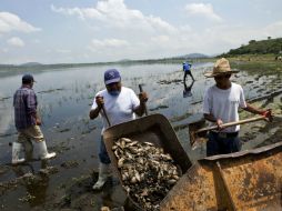 El ecocidio acabó con el comercio de peces, única subsistencia de los pobladores de San Pedro Valencia. ARCHIVO /