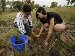 Extra invita a la ciudadanía en general a que adopte uno de los árboles que regalan.  /