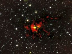 Gary Fuller expresa que encontrar un objeto tan masivo en una etapa tan temprana de su evolución es un resultado espectacular. EFE /