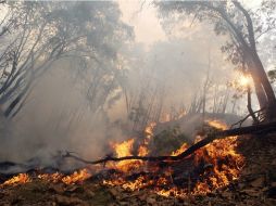 El sistema mecatrónico puede rastrear incendios mediante la aplicación de técnicas de visión artificial y sensores. ARCHIVO /