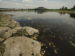 Reconocen que la Presa del Hurtado estaba al 10% de su capacidad antes de resentir afectaciones por la melaza. ARCHIVO /