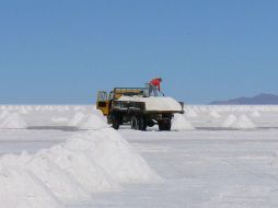 Debido a la concentración de sal, el ambiente donde crece la bacteria  favorece la fabricación del PHB. ESPECIAL /
