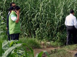 Los cuerpos fueron localizados sobre la calle Sabino en el paraje La Humedad. AFP /