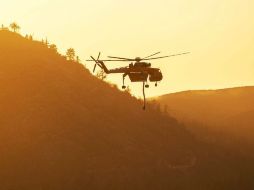 Investigadores forestales determinaron que el siniestro fue provocado. EFE /