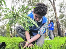 Jornada de reforestación nacional 2013. Cientos de ciudadanos y varias empresas participaron en actividades de esta convocatoria. EL INFORMADOR /