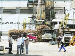 Abasto. La producción genera un inventario de 1.6 millones de toneladas de azúcar. EL INFORMADOR /