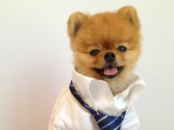 Jiff ha conquistado a más medio millón de usuarios en su perfil en Facebook. ESPECIAL /