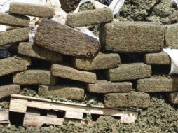 Afirman que si los fieles fueran los encargados de decidir sobre la legalización de la mariguana, no la aprobarían. ARCHIVO /