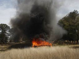 Incineraron 402 plantíos de mariguana en 43 hectáreas; 131 plantíos de amapola en 17 hectáreas, entre otras. ARCHIVO /