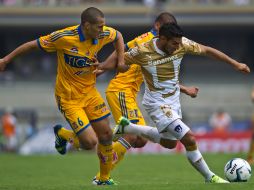 Pumas, Morelia, Pachuca y Chiapas serán multados con 500 y 600 días de salario mínimo respectivamente. AP /