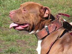 La madre del pequeño trató de salvarlo. ESPECIAL /