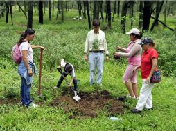 Se trata de la consolidación del bosque más importante del municipio. ARCHIVO /