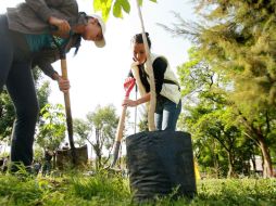 La meta de Guadalajara es ayudar al reverdecimiento del municipio con más de 30 mil árboles.  /