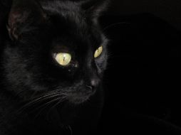 El martes 13 para algunas personas es un día como cualquiera, en cambio, a otras las pone a temblar. ESPECIAL /