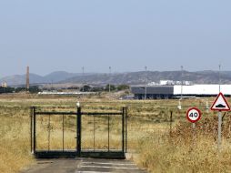Otros aeropuertos de los EU utilizan también animales para eliminar la vegetación con resultados diversos. EFE /