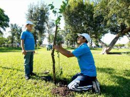 El Parque Montenegro, Bosque La Primavera, Parque Metropolitano, Parque Montenegro y Santuario de los Mártires han sido reforestados.  /