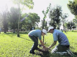 La asociación civil promovió actividades de reforestación en seis de estos espacios públicos durante los días de lluvias. EL INFORMADOR /