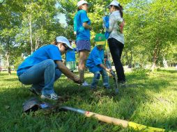 Ocho mil 700 hectáreas serán reforestadas con apoyos del Programa Nacional Forestal 2013  con una inversión de  60.2 millones de pesos. ARCHIVO /