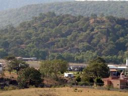 La joven declaró que estos días estuvo con un familiar en el poblado de Pacana, Tala. ARCHIVO /