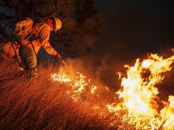 La Semadet empleará el mismo manejo de datos que el del último incendio de consideración en La Primavera. ARCHIVO /