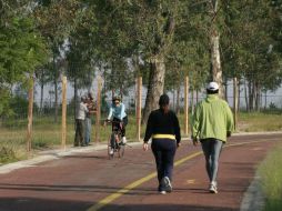 La cultura de la salud es un hábito que los mexicanos deben adquirir desde su temprana formación académica y familiar. ARCHIVO /