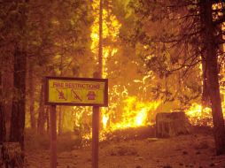 El incendio iniciado el pasado sábado ha sido bautizado como ''Rim Fire''. ARCHIVO /