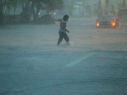 ''Fernand'' ha causado inundaciones y otras afectaciones en Veracruz. EFE /