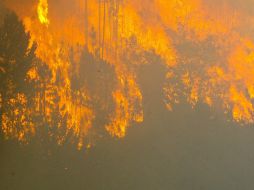 Las temperaturas elevadas y fuertes vientos han complicado la labor para sofocar el fuego. EFE /