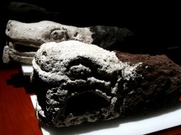 La repatriación se realiza sin contratiempo, en el marco del Programa para Procurar la Recuperación de Bienes Culturales. ARCHIVO /