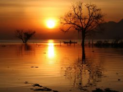 Imagen con que obtuvo el segundo lugar. ESPECIAL /