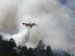 Los incendios en el país han dejado un total de 94 mil hectáreas de bosque afectadas. XINHUA /