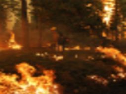 El incendio en California ya ha calcinado casi mil kilómetros cuadrados de bosques y prados. ARCHIVO /