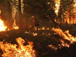 Un cazador ocasionó el incendio Rim que ha consumido unas cien mil hectáreas en California. NTX /