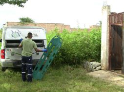 Al sitio arribaron autoridades de la Fiscalía General y del Instituto Jalisciense de Ciencias Forenses para realizar las indagatorias.  /