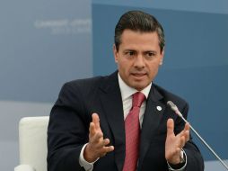 En la cumbre del G-20 en Moscú, Peña Nieto aseguró que su propuesta no lastimará la economía de las familias. EFE /