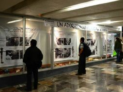 La muestra también da a conocer el proceso de restauración realizado en 2010 a un tablero maya. Foto: @inah_mx. ESPECIAL /