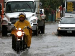 Se podrán detectar unidades robadas de manera más rápida. ARCHIVO /