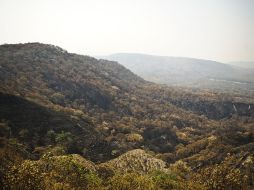 La iniciativa para la creación del organismo ''Bosque La Primavera'' fue presentada por el gobernador, Aristóteles Sandoval, en junio. ARCHIVO /