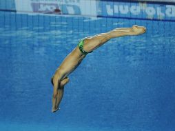 Se esperan eventos importantes de clavados en México para el próximo año. ARCHIVO /