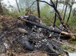 En el accidente perdieron la vida los cinco tripulantes; la aeronave se encontró entre el puerto de Acapulco y La Pintada, en Guerrero. AFP /