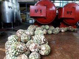 En la lista también se incluye a cinco personas que estarían detrás de estas compañías. ARCHIVO /