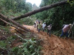 Un grupo de voluntarios caminan por una de las vías afectadas en Guerrero por las tormentas tropicales. EFE /