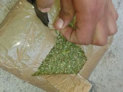 Señalan que la mariguana influye en el apetito, función inmunológica, reproducción, coordinación del movimiento o percepción del dolor. ARCHIVO /