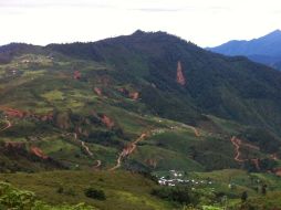 Solicitan plan emergente para rescatar a los campesinos y productores que perdieron la totalidad de sus cosechas. NTX /