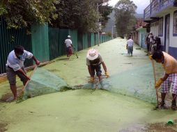 Habitantes de Texcalzín, en Guerrero,limpian las aguas que inundan sus viviendas. Ya se presentó el primer caso de dengue en la Entidad EFE /